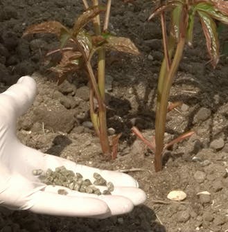 Stauder Gjødsel og vanning Stauder Gjødsel og vanning